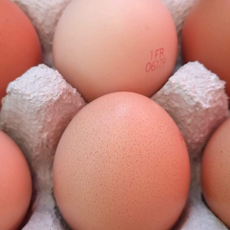 Œufs Plein Air Extra Frais de Ferme