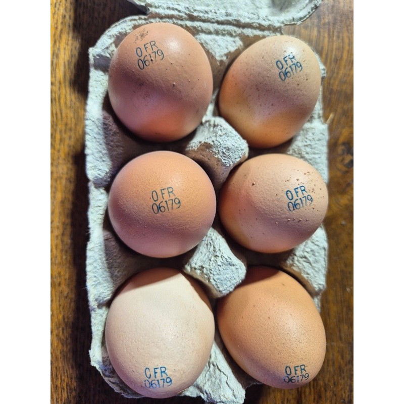 Œufs Bio Extra Frais de Ferme