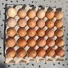 Œufs Bio Extra Frais de Ferme